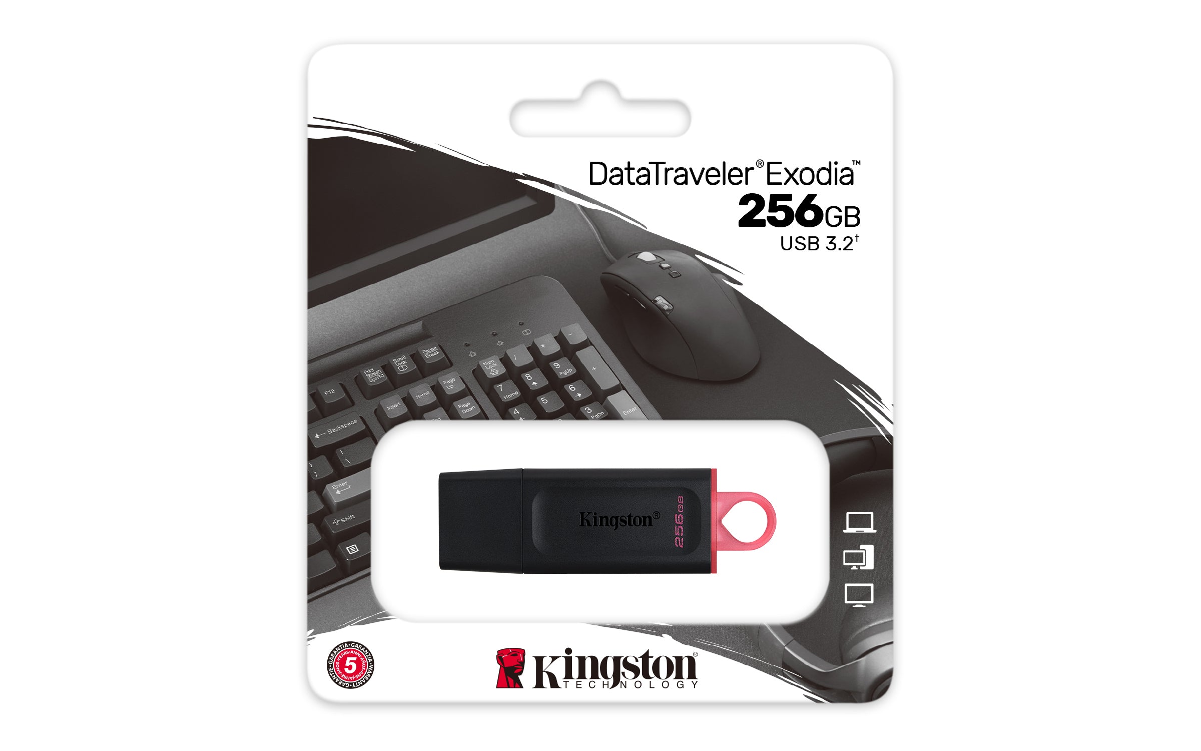 256GB USB3.2 Gen1 DataTraveler Exodia (Black + Pin KINGSTON
