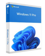 WINDOWS 11 PRO - Foto 1
